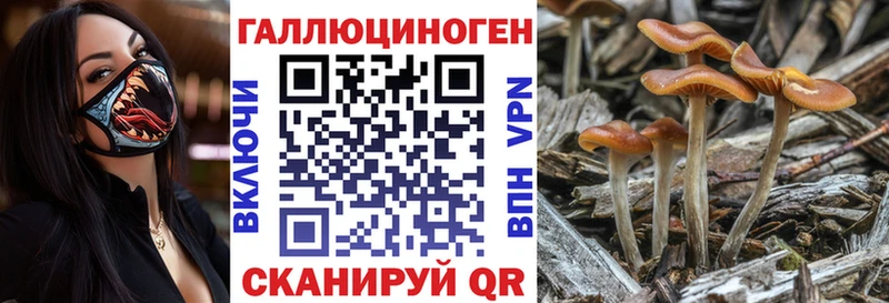 наркотики Калининск МЕГА ссылка Псилоцибиновые грибы прущие грибы